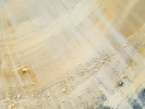 06_441x600